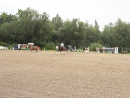 2017 LF Hestedag